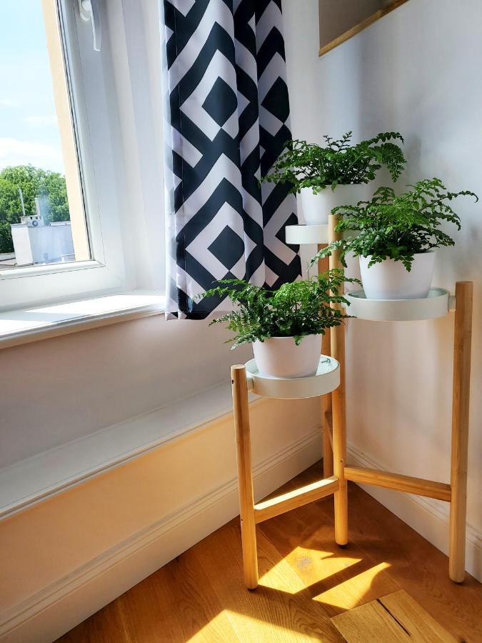 Centrum Grand Apartament Apartment Swidnica  Ngoại thất bức ảnh